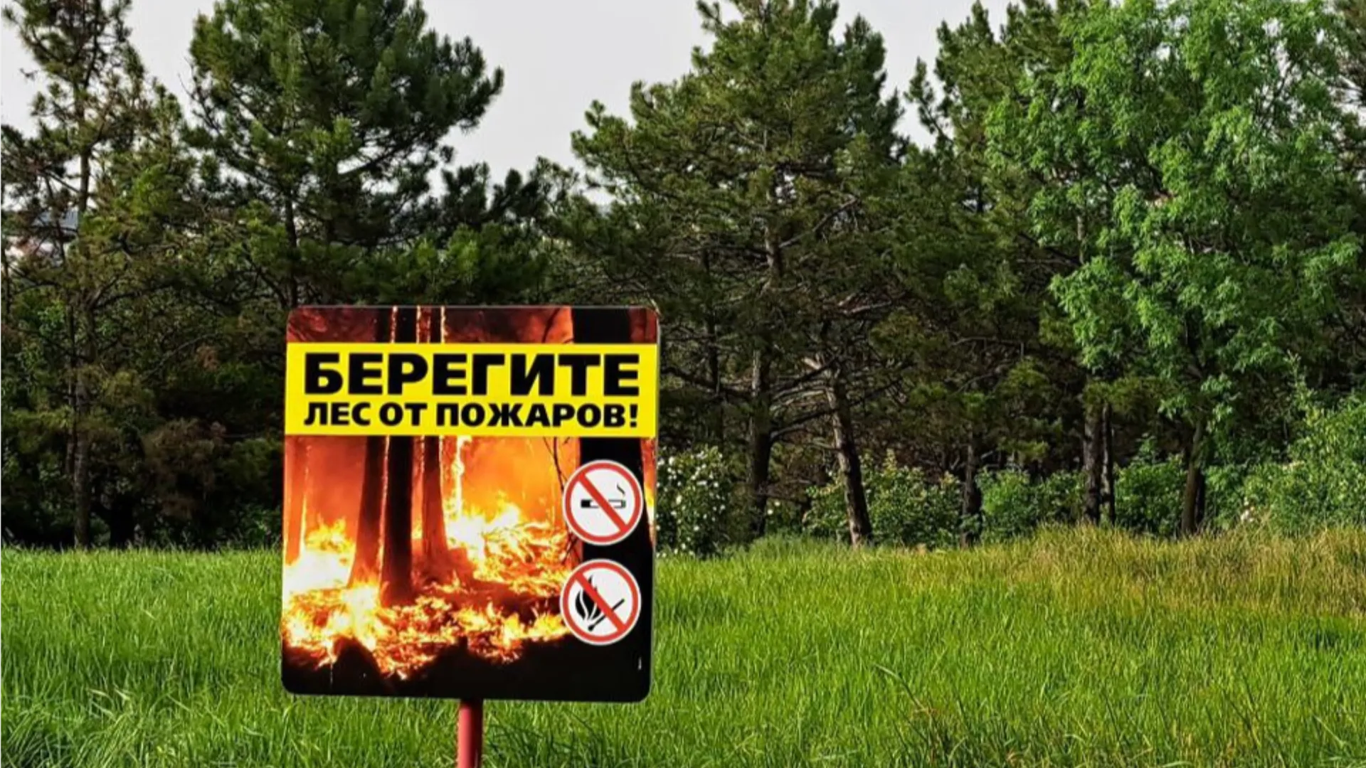 Фото: Николай Мулянский