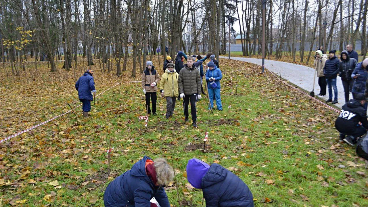 фото: Telegram-канал "КраснознаменскLIVE новости"