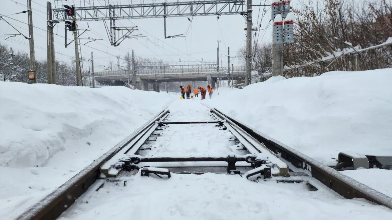 МедиаБанк Подмосковья/Валентина Максимова