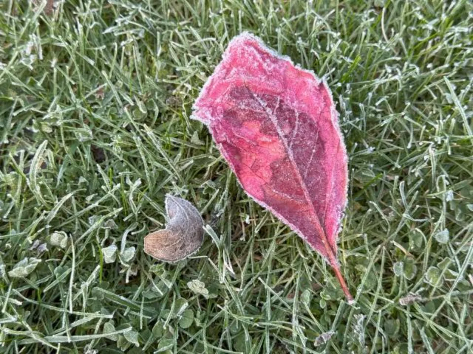 Фото: REGIONS/Илья&nbsp;Попов&nbsp;&nbsp;