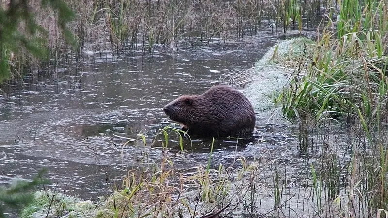 Фото: Ольга Калинина