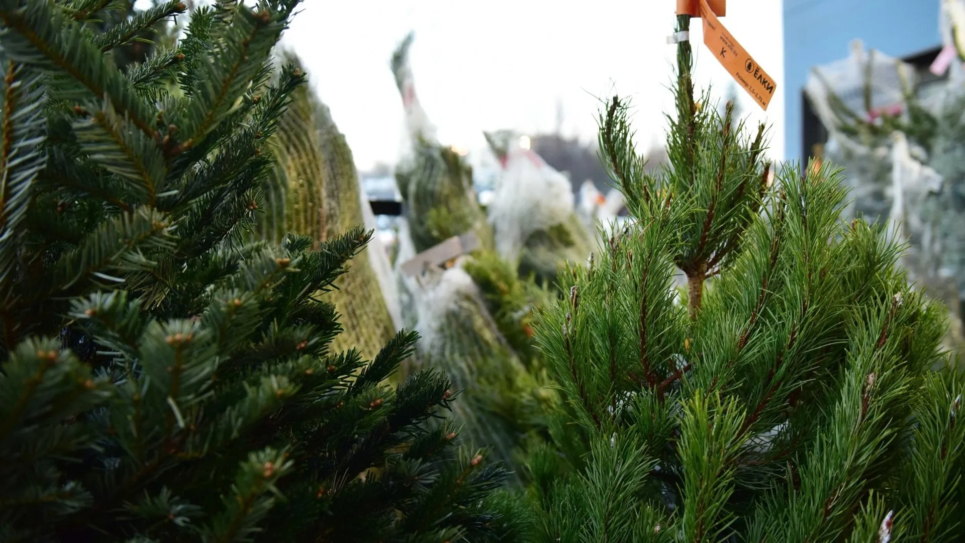 пресс-служба администрации г.о. Химки