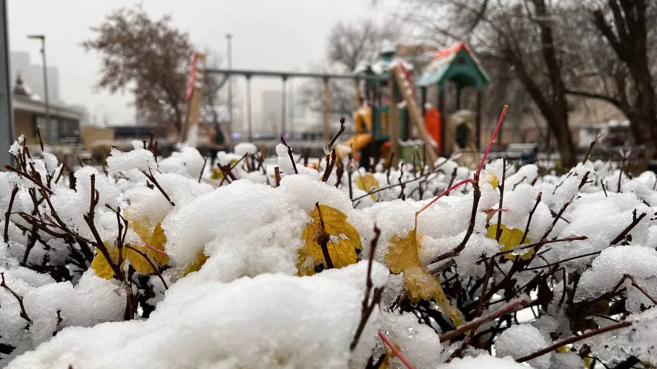 Фото: REGIONS/Елена Фурман