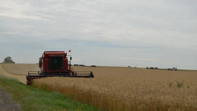 Министр: сильная жара благоприятно сказывается на уборочной кампании