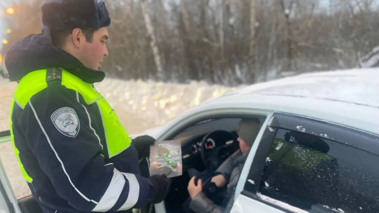 Источник: пресс-служба Госавтоинспекции по городскому округу Павловский Посад