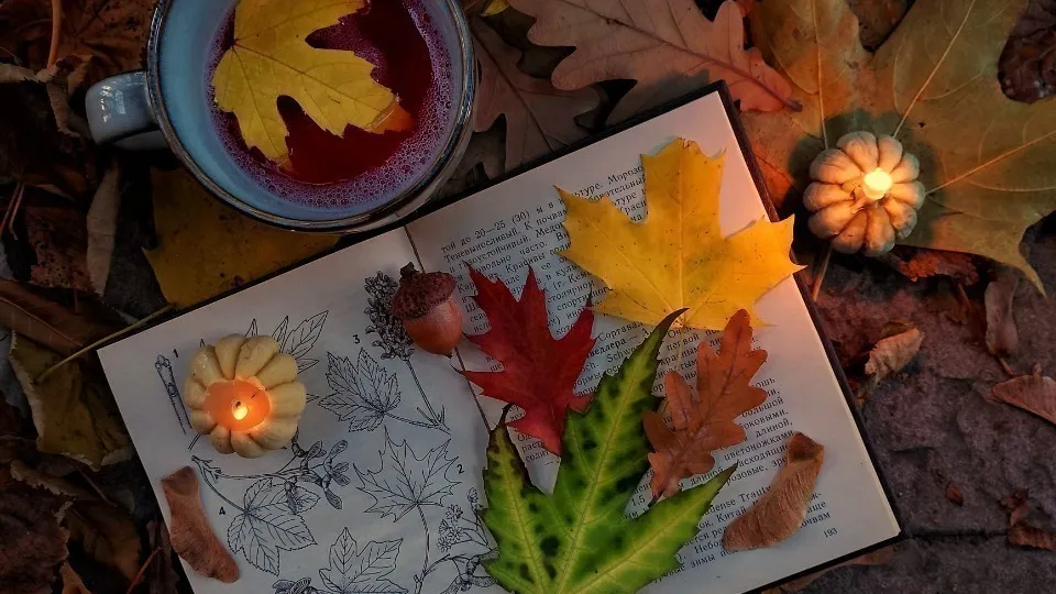 Фото: МедиаБанк Подмосковья/Наталья Савилова