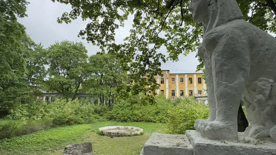 Фото: Виктория Фортуна