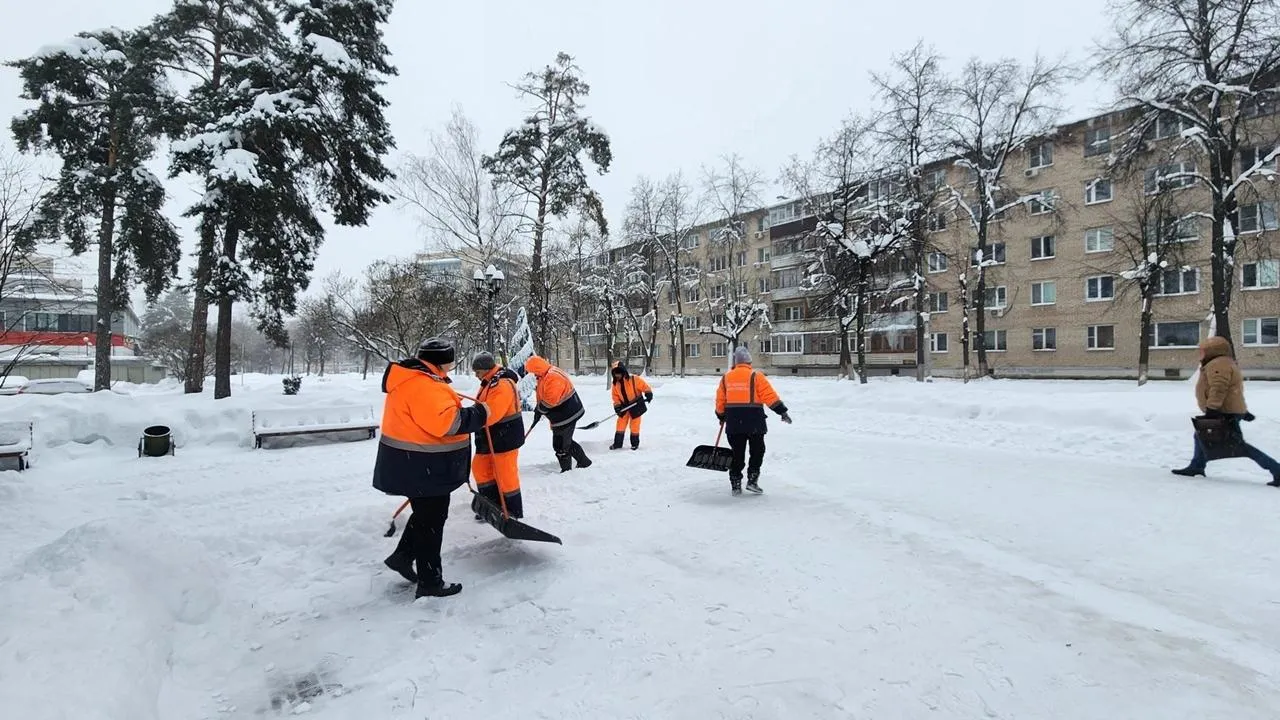 REGIONS/Анна Мороз