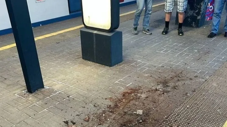 Фото: t.me/moskovskaya_oblast_24