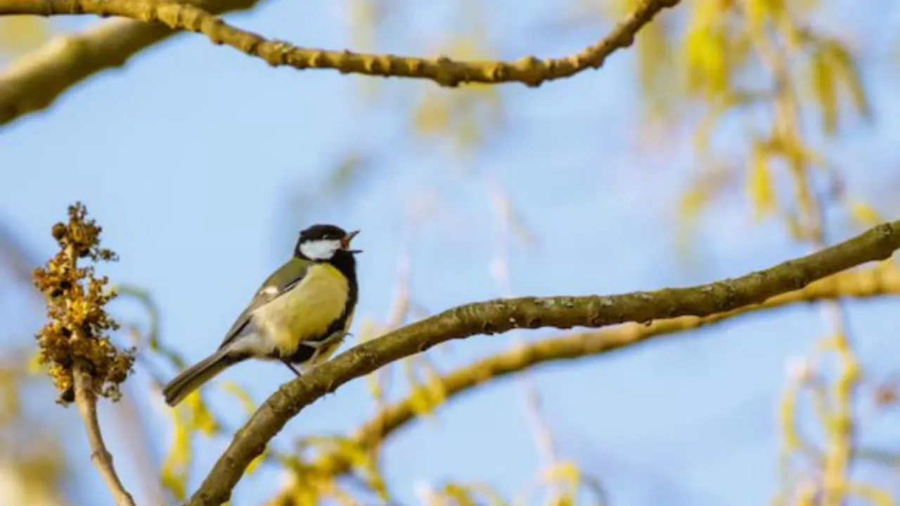 Фото: freepik.com