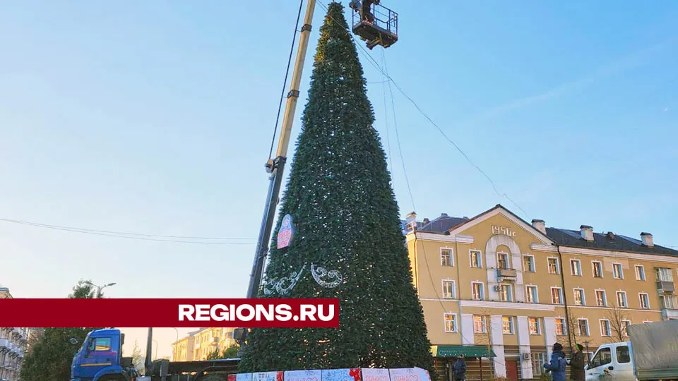 Установка новогодней елки в Лосино-Петровском Фото: Валерия Тингаева