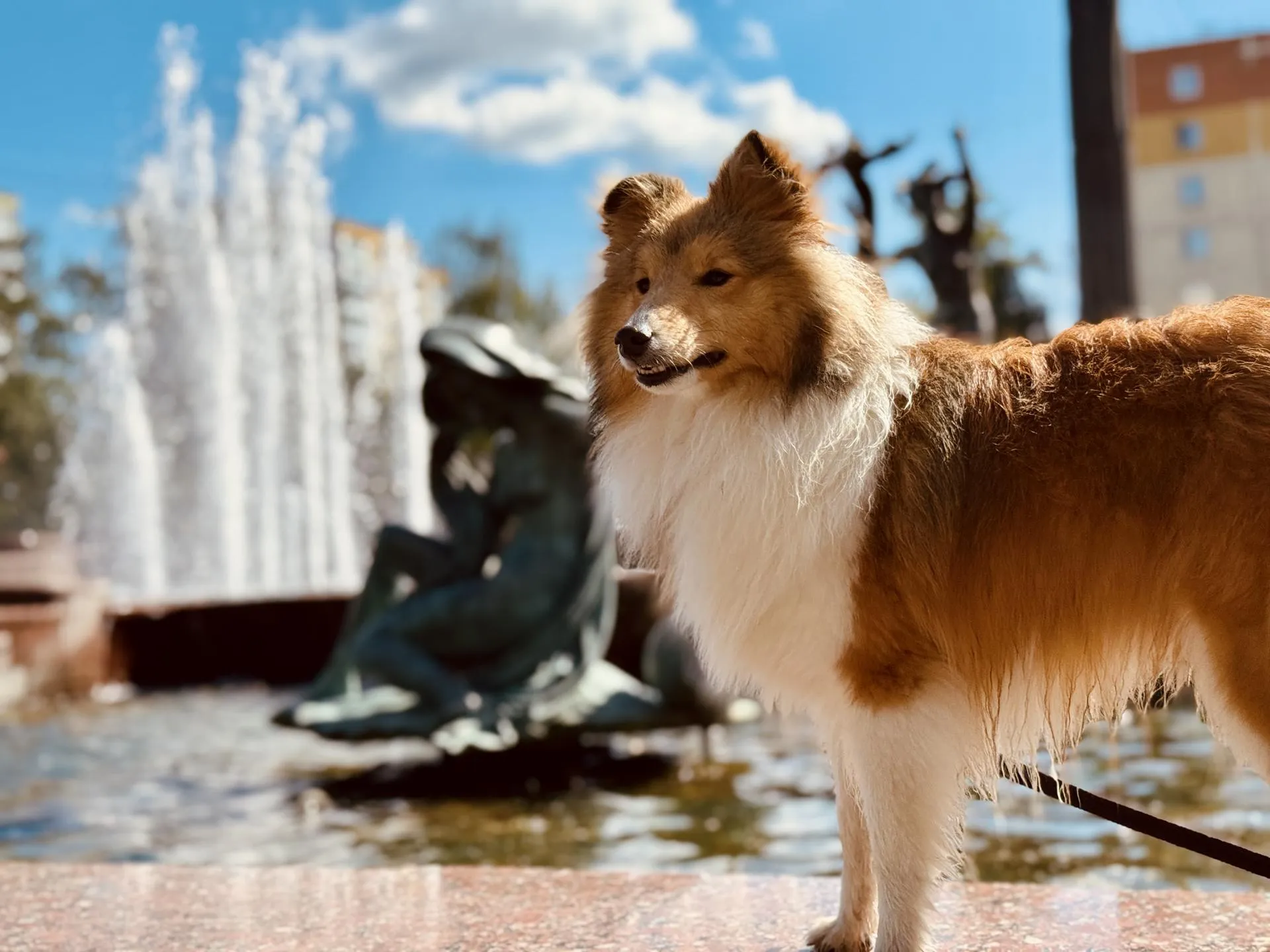 Фото: Ольга Стаферова