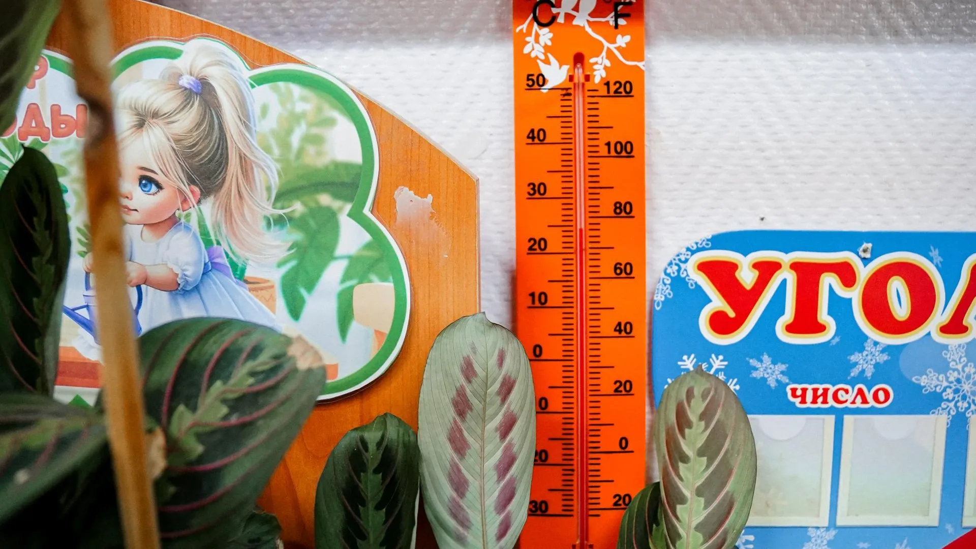 Пресс-служба администрации муниципального округа Шатура