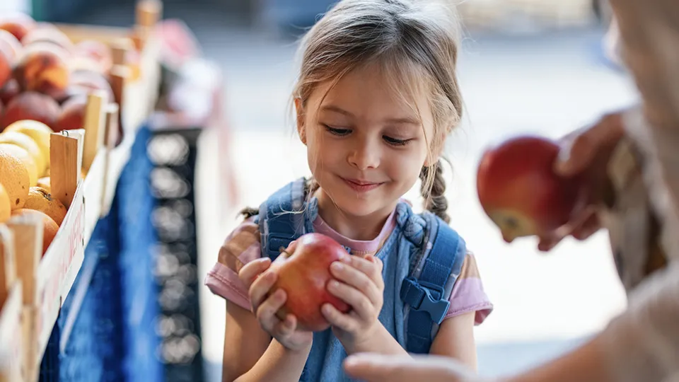 Фото: istockphoto.com/miniseries