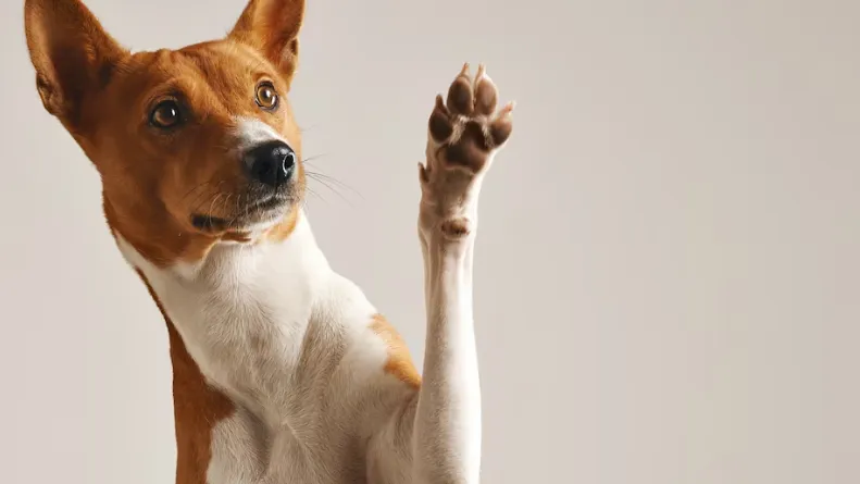 Фото: freepik.com