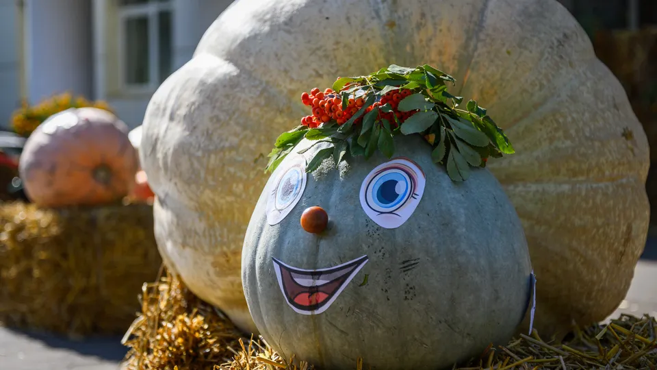 Фото: медиасток.рф