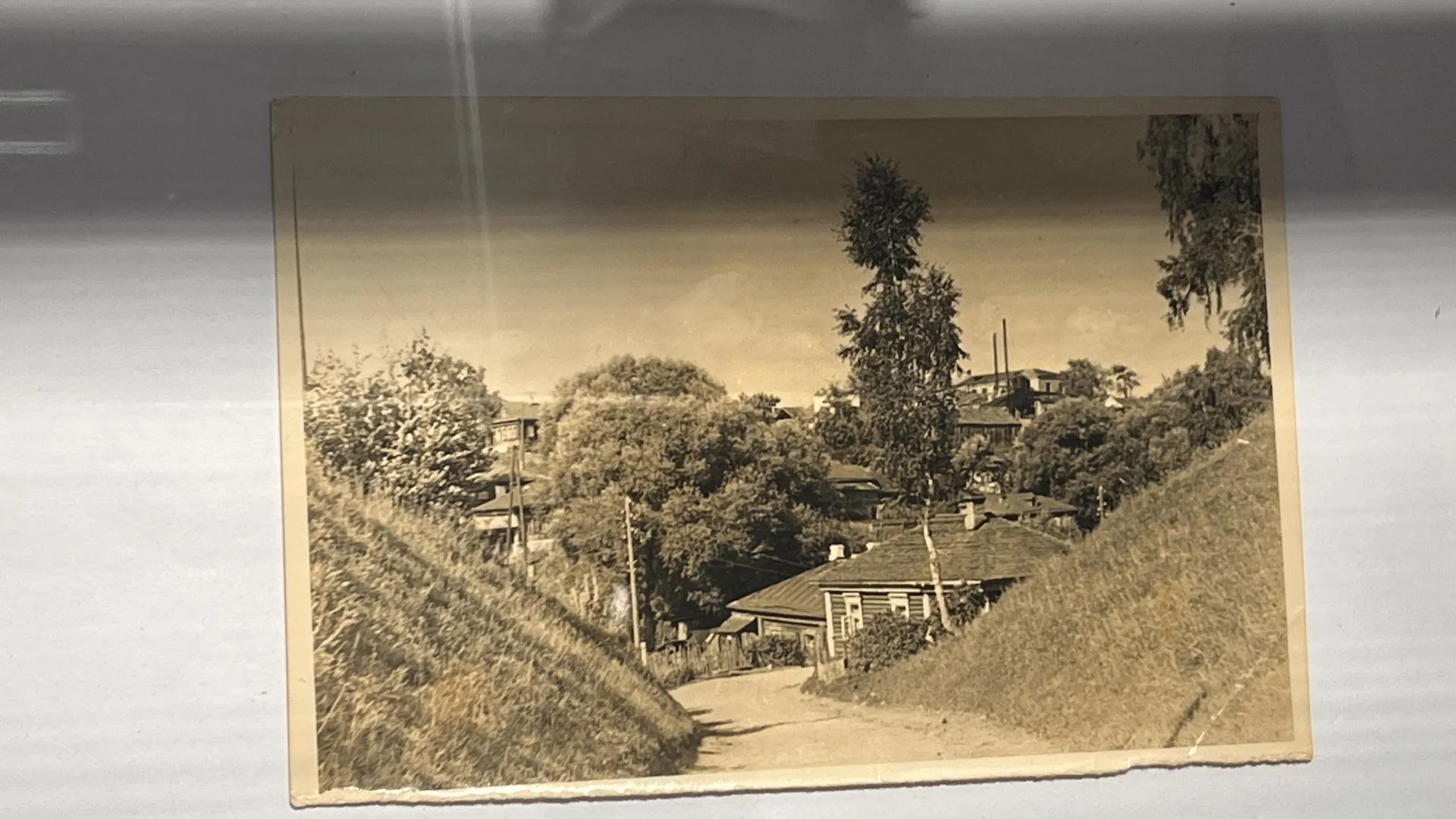 Екатерина Данилина