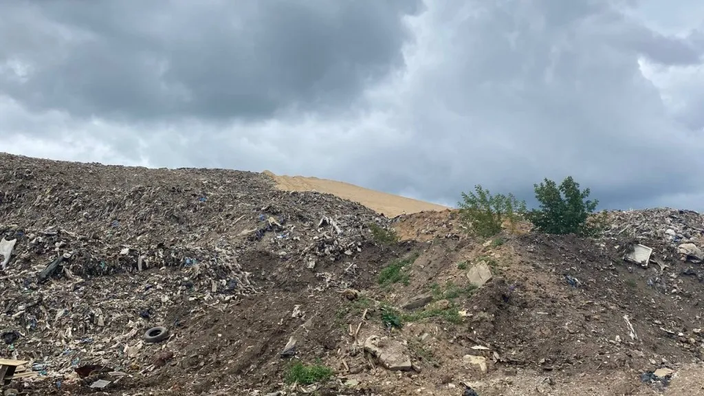 Фото: МедиаБанк Подмосковья/Валерий Гореловский