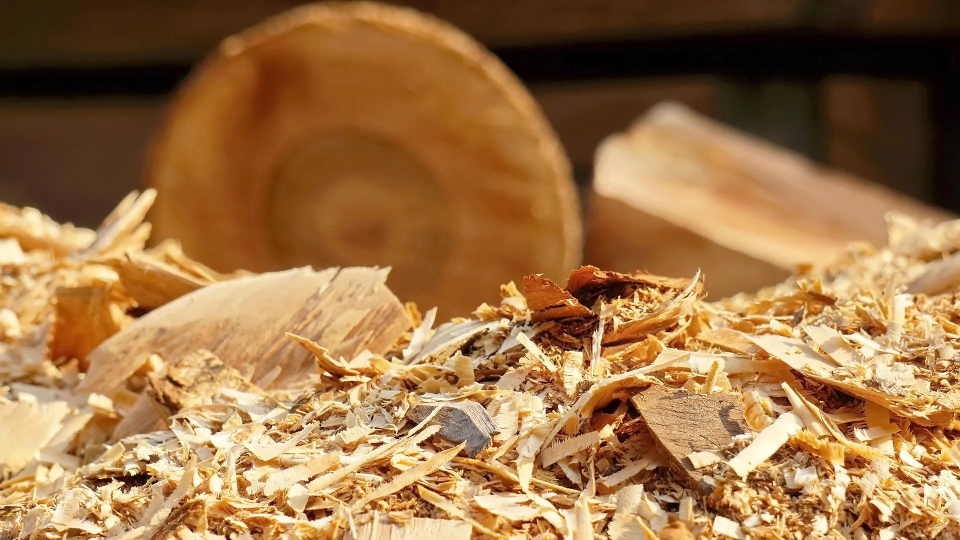 Изображение от ilovehz на Freepik