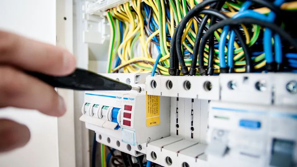 Фото: pxhere.com