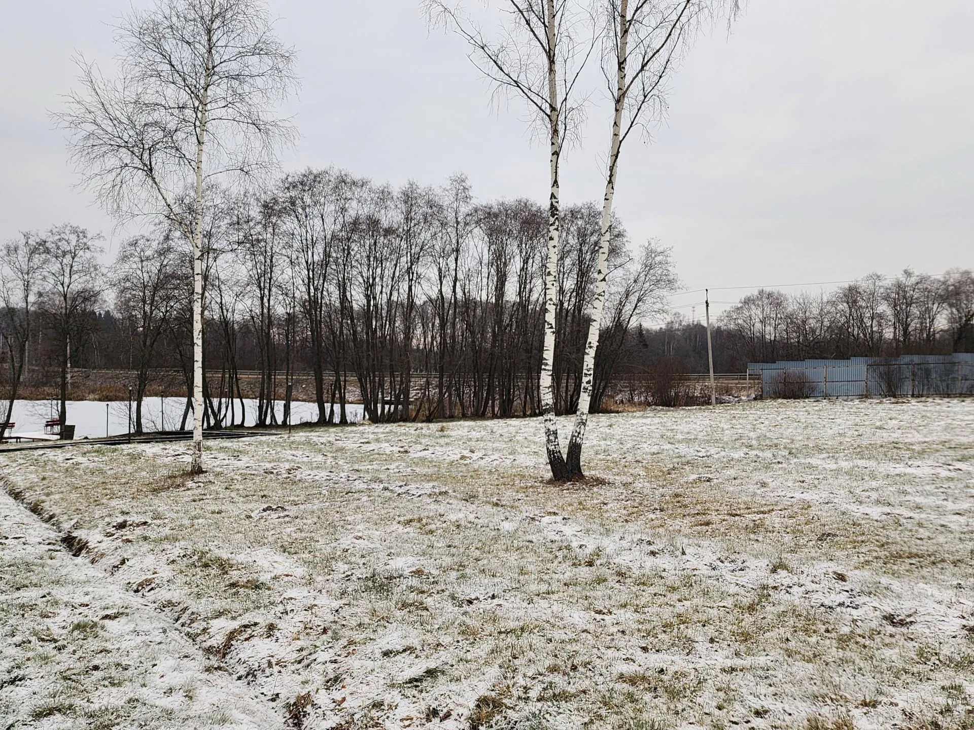 Фото: Светлана Борщева