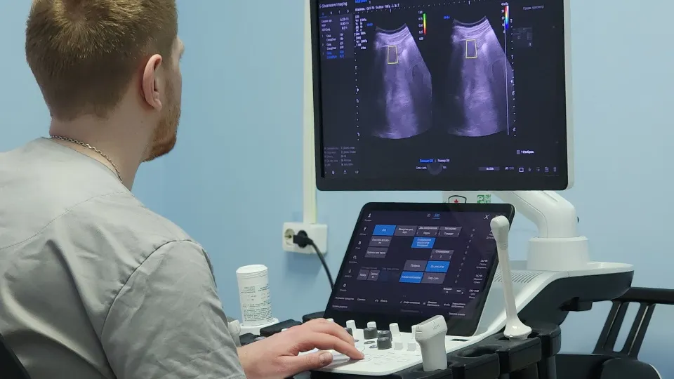 Фото: МедиаБанк Подмосковья/Валерия Тингаева