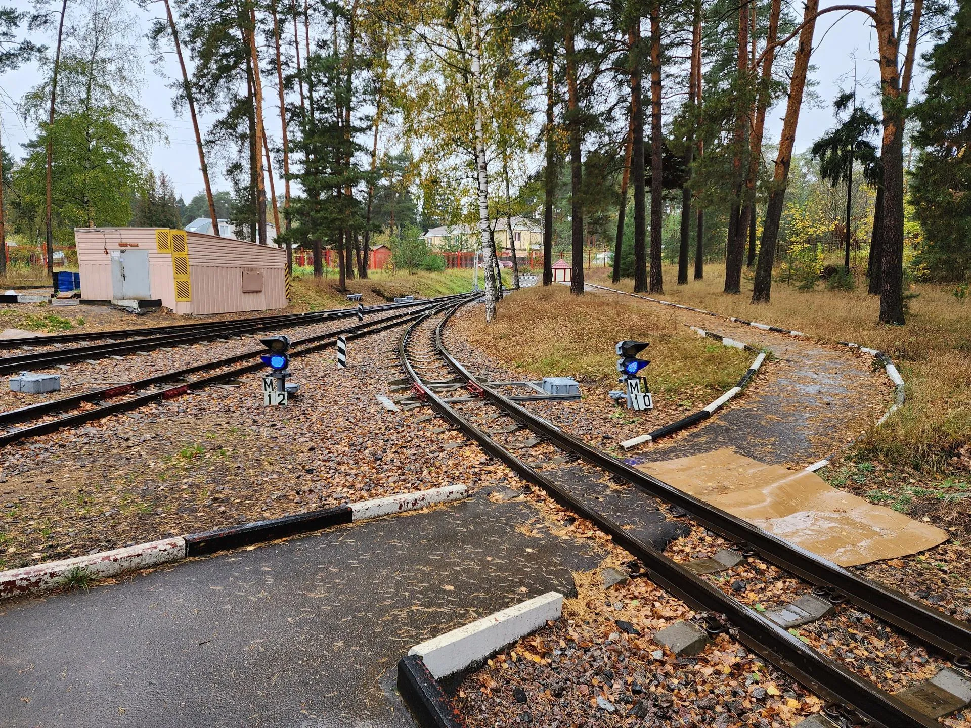 Ирина Моисеева