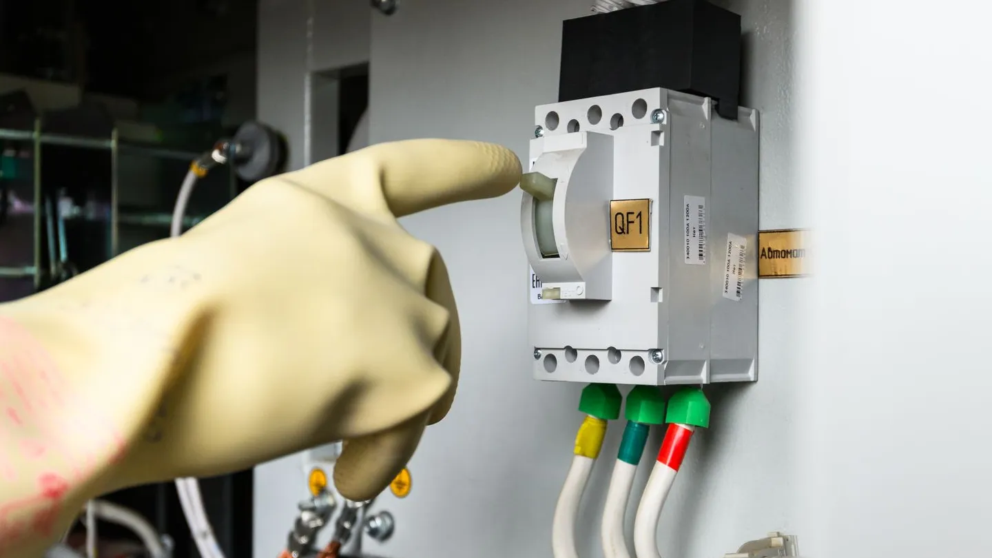 Фото: медиасток.рф