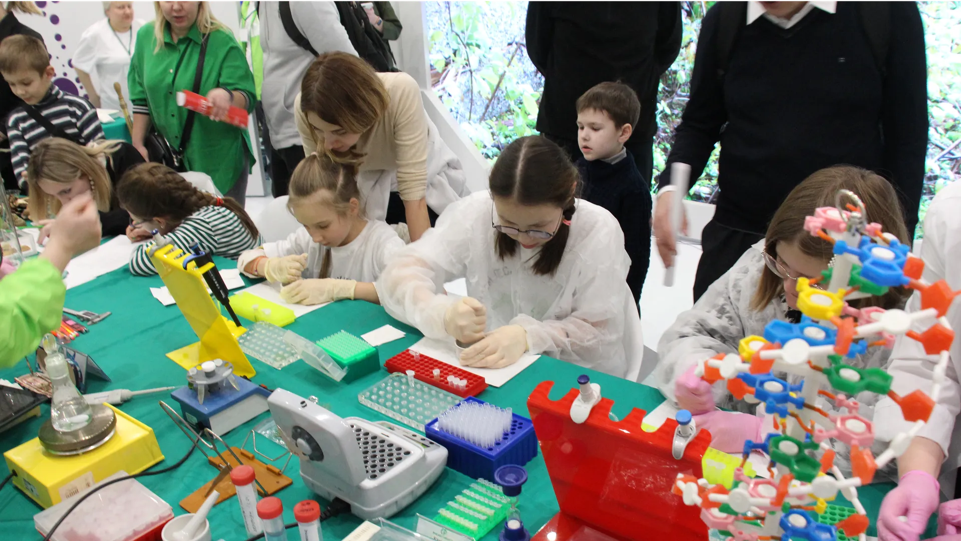 Фото: Российский центр защиты леса