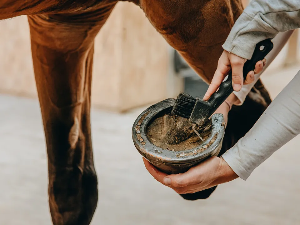 Фото: istockphoto.com