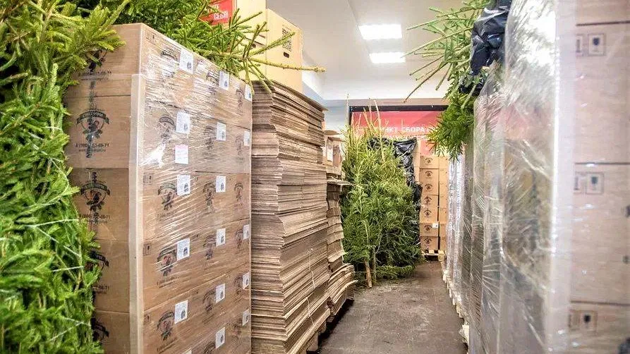 Фото: пресс-служба губернатора и правительства Московской области