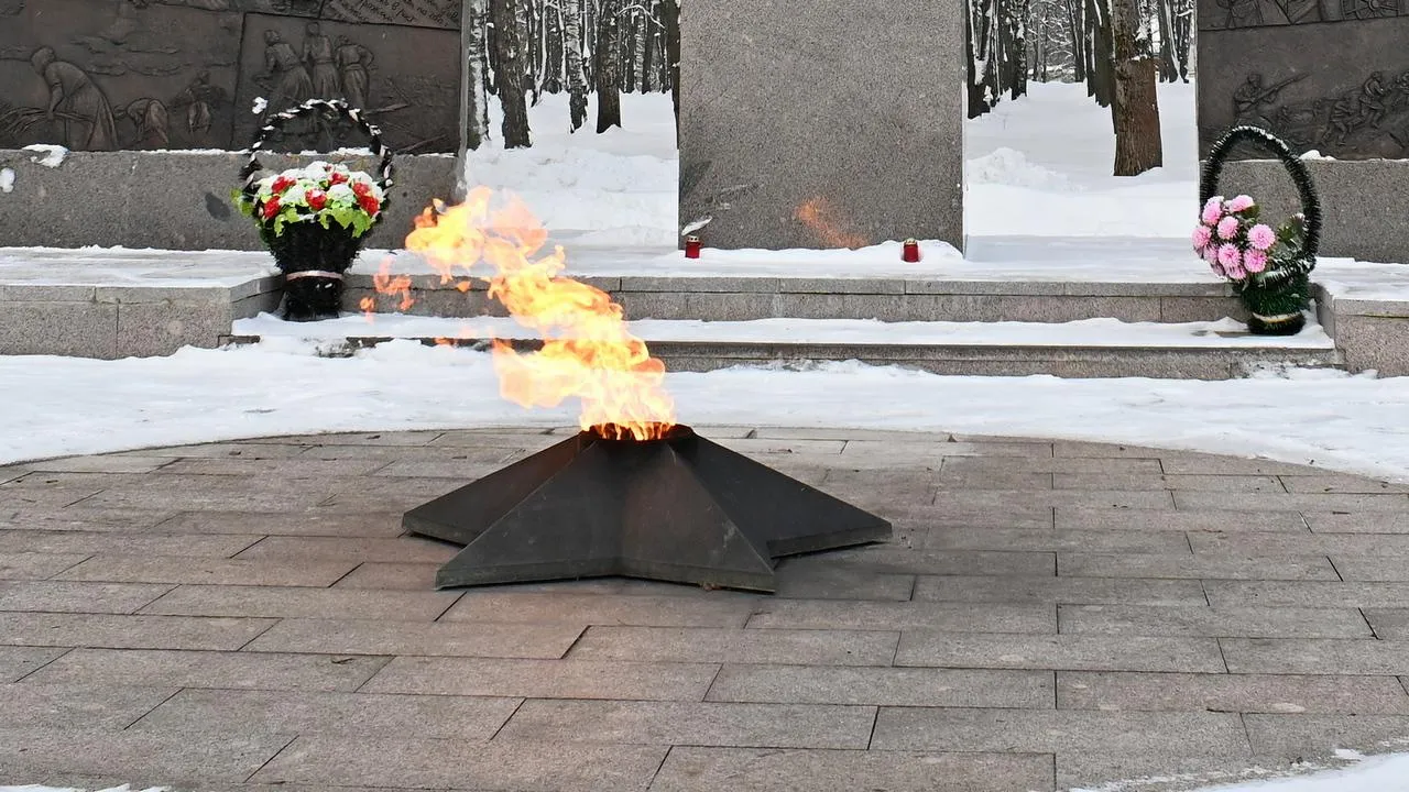 REGIONS/Александр Дрожжин