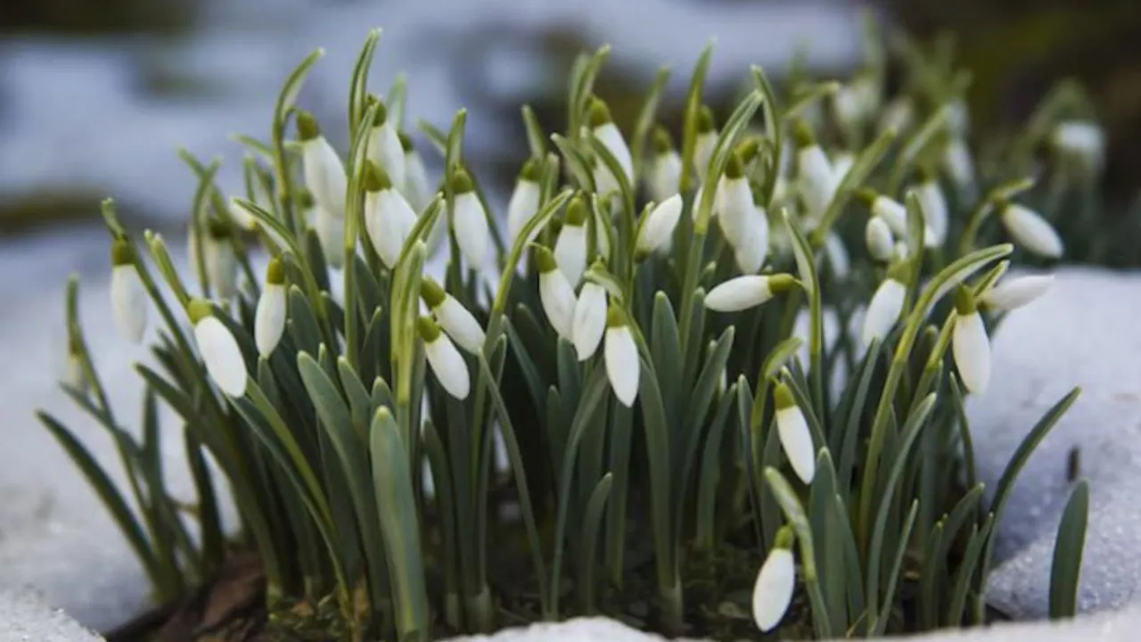 Фото: freepik.com