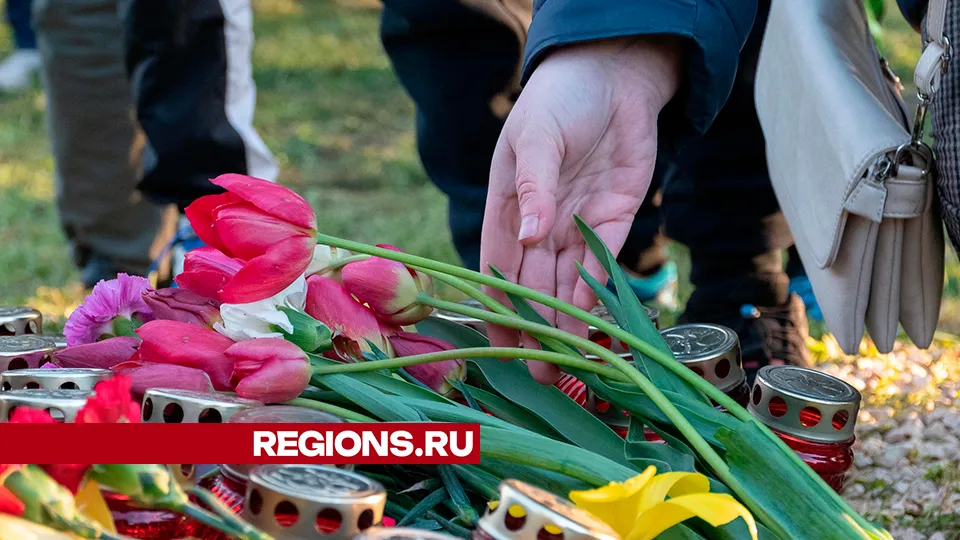 Фото: REGIONS/Евгений Мазепов