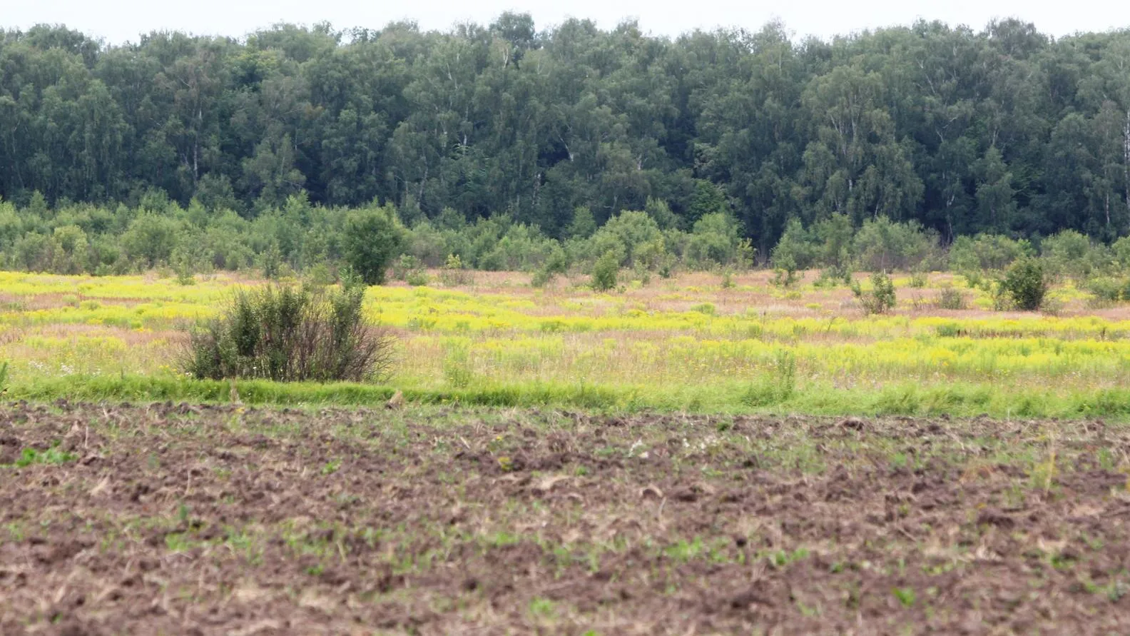 пресс-служба администрации г.о. Кашира