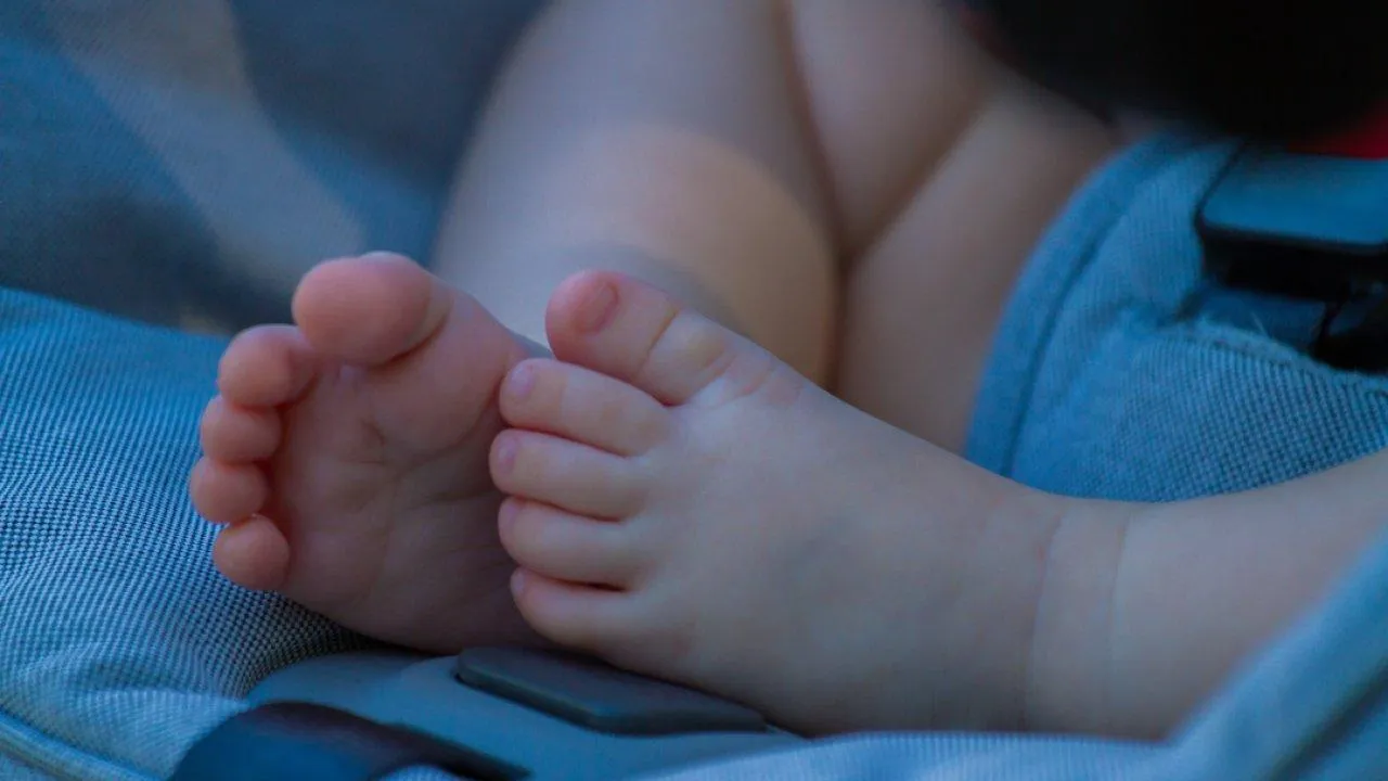 REGIONS/Владимир Ерастов