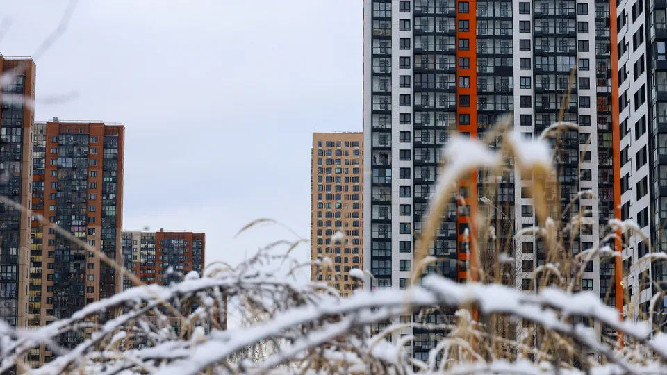 Фото: ТАСС/Олег Елков