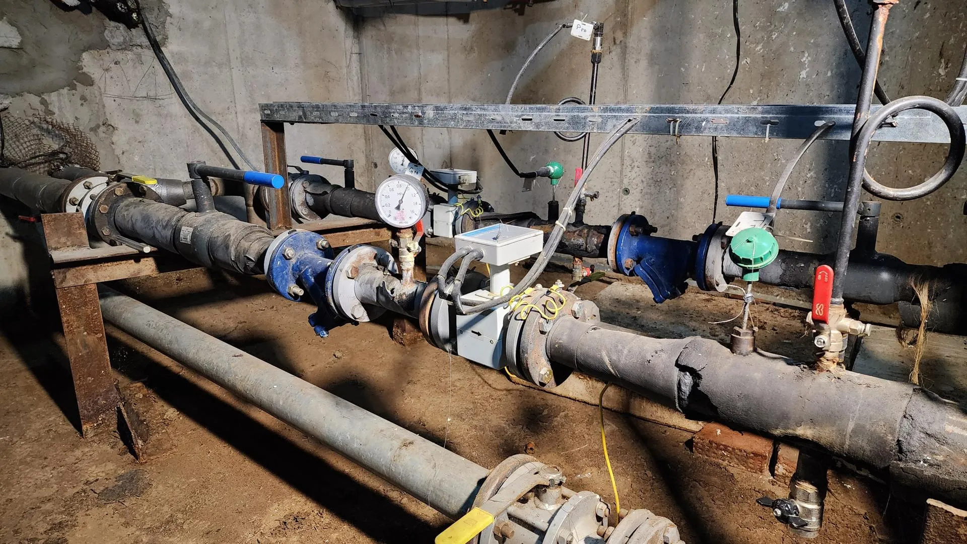 Фото: Ольга Фельдфебелева