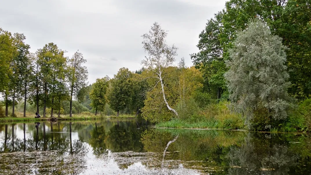 Фото: unsplash.com