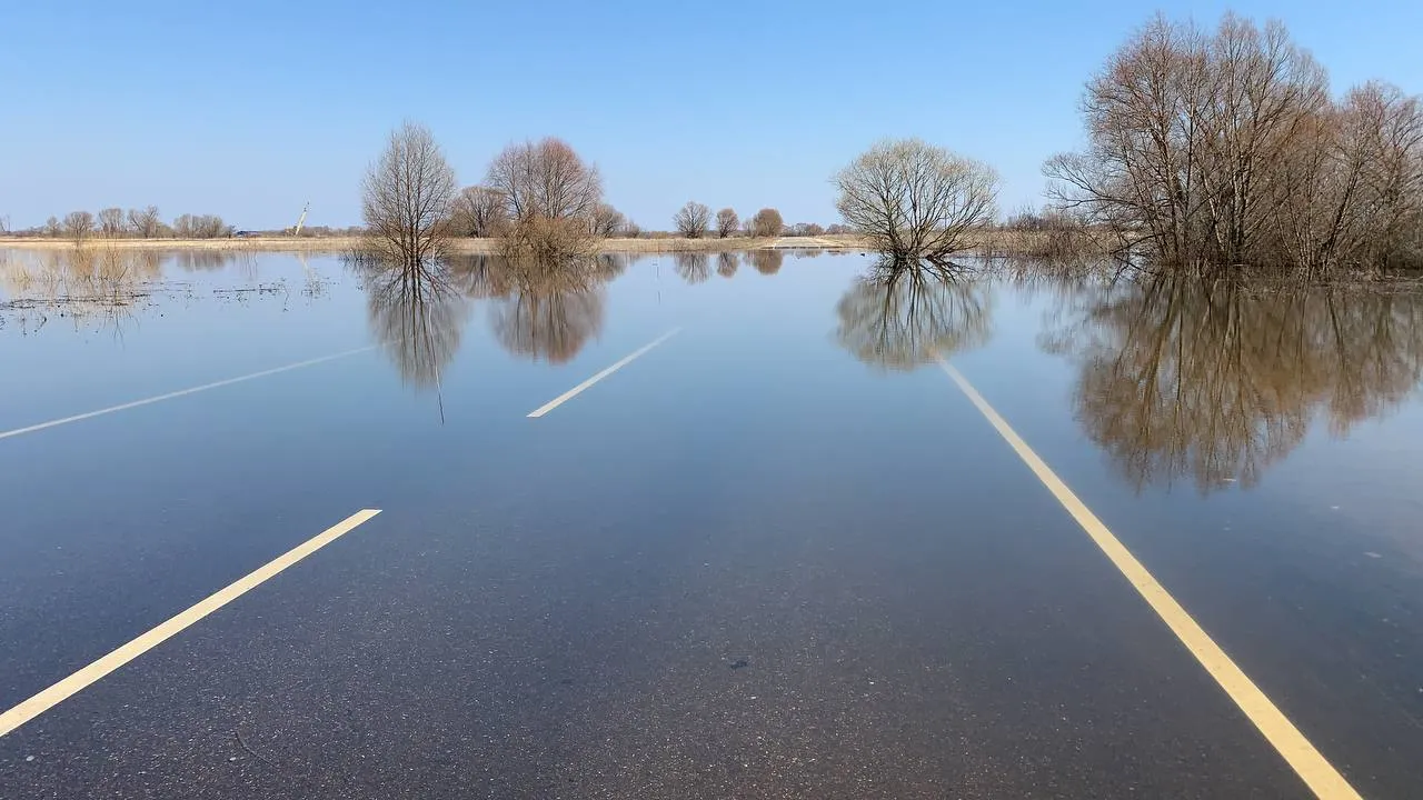 фото: Елена Фурман