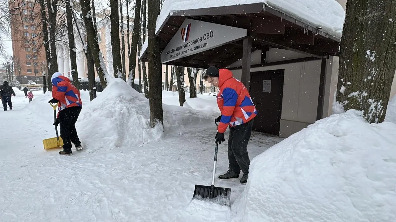 REGIONS/Кристина Тришина