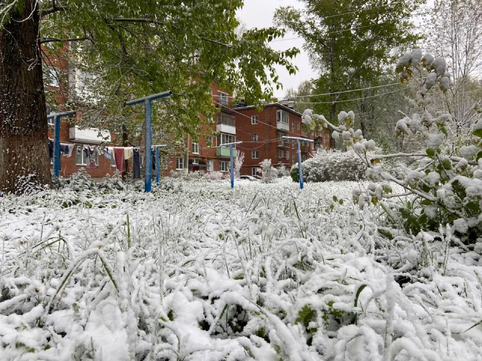 Фото: Алена Мельникова