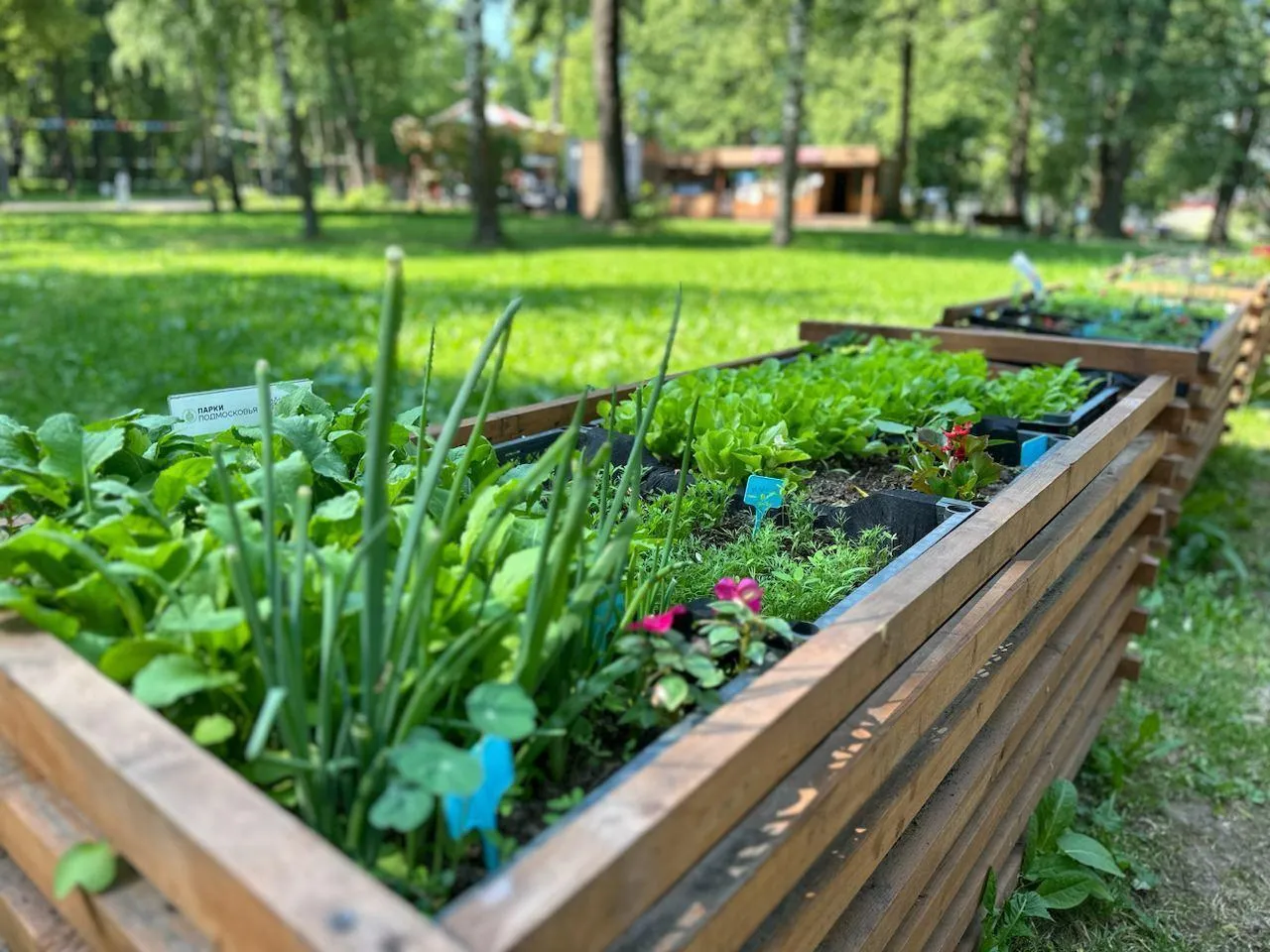 Министерство культуры и туризма МО