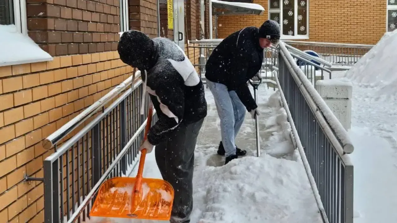 ГБПОУ МО "Ногинский колледж"