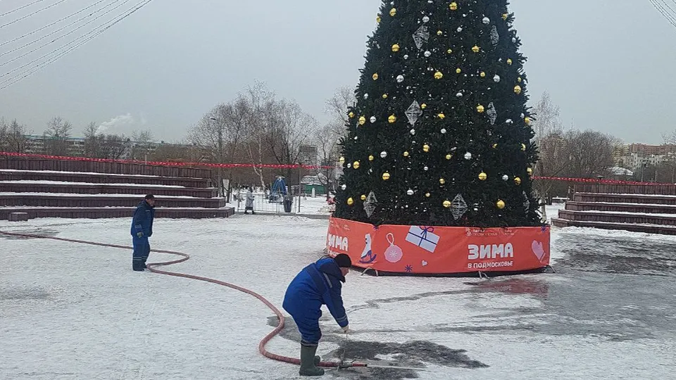 Фото: администрация г.о. Реутов