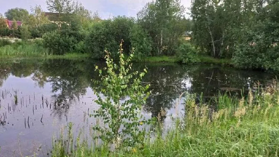 Фото: Министерство экологии МО