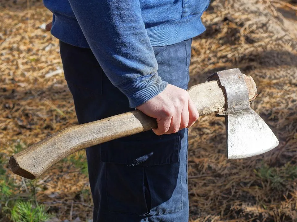 Фото: istockphoto.com/Анатолий Тушенцов