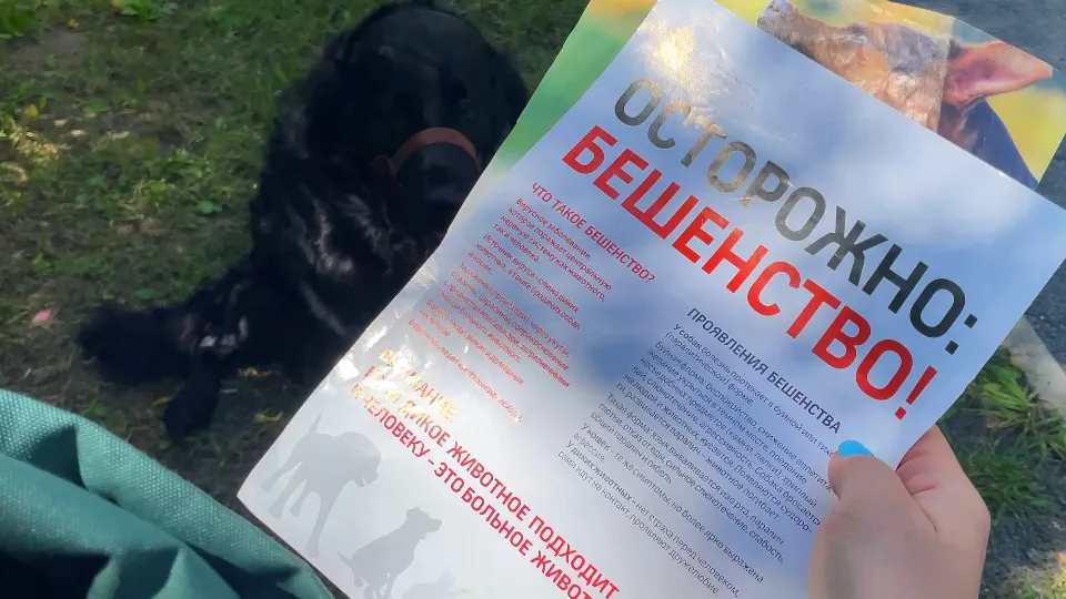 Фото: МедиаБанк Подмосковья/Виктория Фортуна