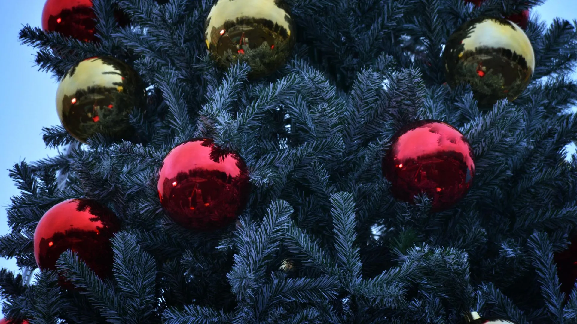 REGIONS/Владимир Ерастов