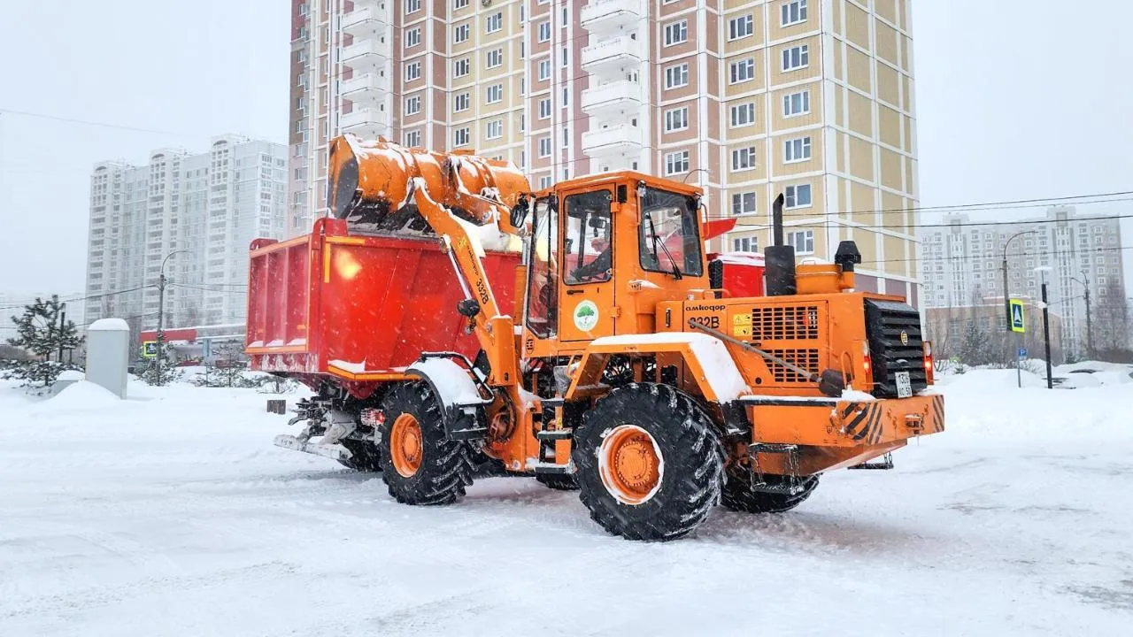 REGIONS/Мария Андрюхина